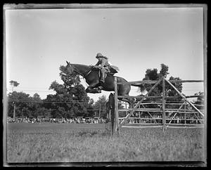 Horse jumping