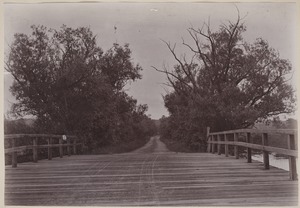 Photograph Album of the Newell Family of Newton, Massachusetts - Wooden Bridge -