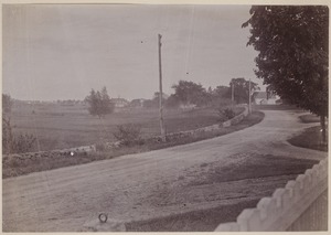 Photograph Album of the Newell Family of Newton, Massachusetts - View Toward Medfield from Hamlet Wight Farm -