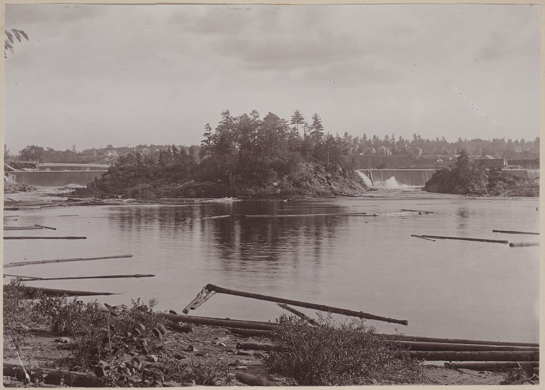 Photograph Album of the Newell Family of Newton, Massachusetts Turner