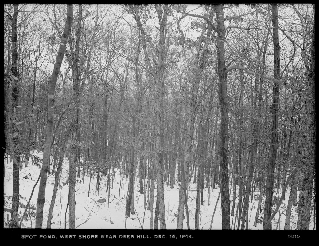 Distribution Department, Low Service Spot Pond Reservoir, westerly shore from Deer Hill, Stoneham, Mass., Dec. 15, 1904