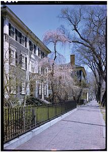 Salem, Chestnut Street, spring