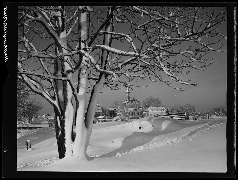 Abbot Hall Vista in Winter