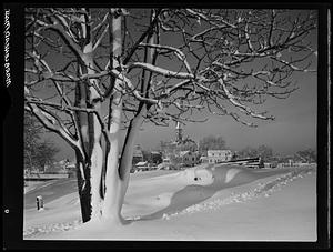 Abbot Hall Vista in Winter