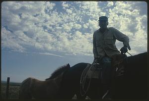 Man sitting on horse next to foal