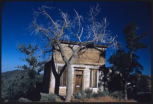 Leafless tree in front of wooden building, likely Virginia City, Nevada
