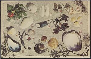 Cape Cod, Massachusetts