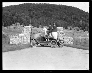 Moxie horse at Mt. Prospect, Lancaster, N.H.