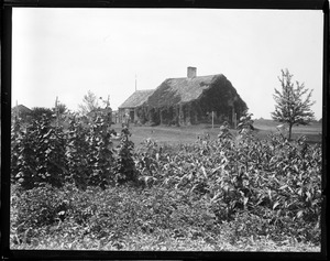 Ossipee N.H. farmhouse