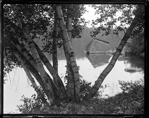 Lake Sunapee, N.H.