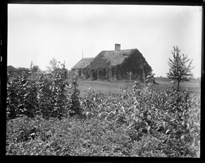 Old Farm House - Ossipee, N.H.