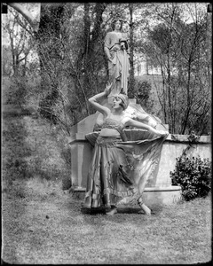 Nature dancer