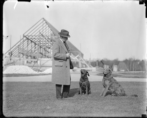 Sports stadium - man with 2 dogs