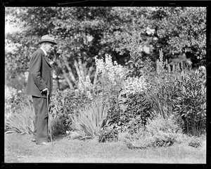 Man in a garden