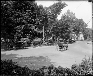 Gathering of horse-drawn vehicles in Grafton