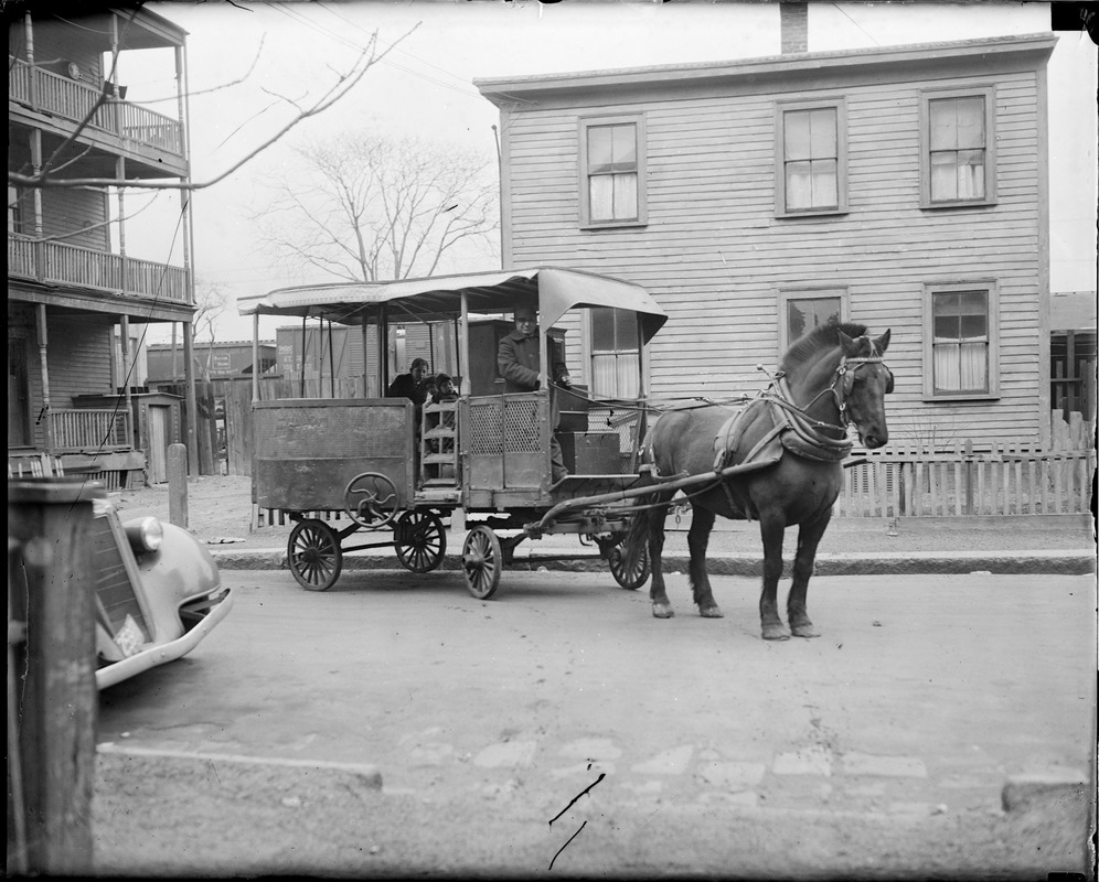 Horse-drawn wagon