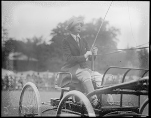 Woman driving a carriage