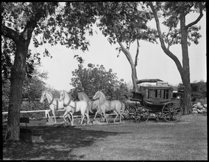 Stagecoach w/ fake horses