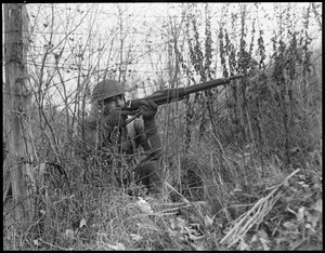 Rifleman in tall grass during training at Fort Devens