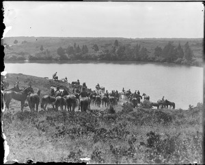 U.S. soldiers watering their horses at Camp Devens before going into real action
