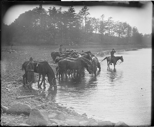 Soldiers watering horses after strenuous war games