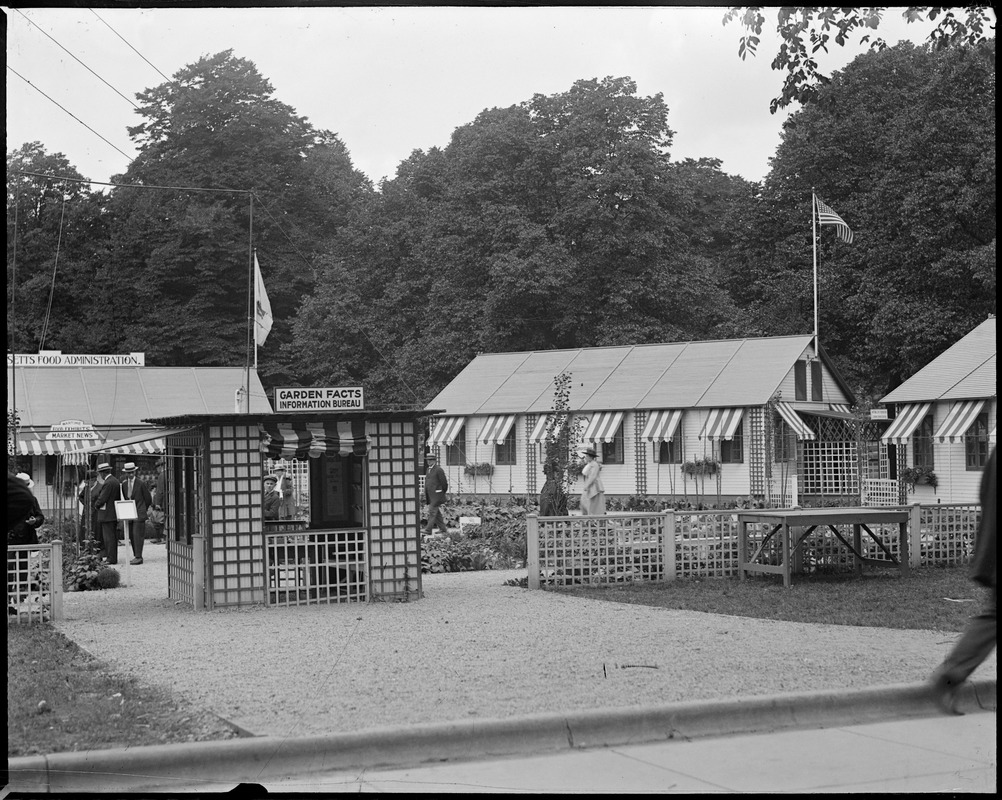 Boston Commons, "War buildings on Boston Common, something very rare and unusual."