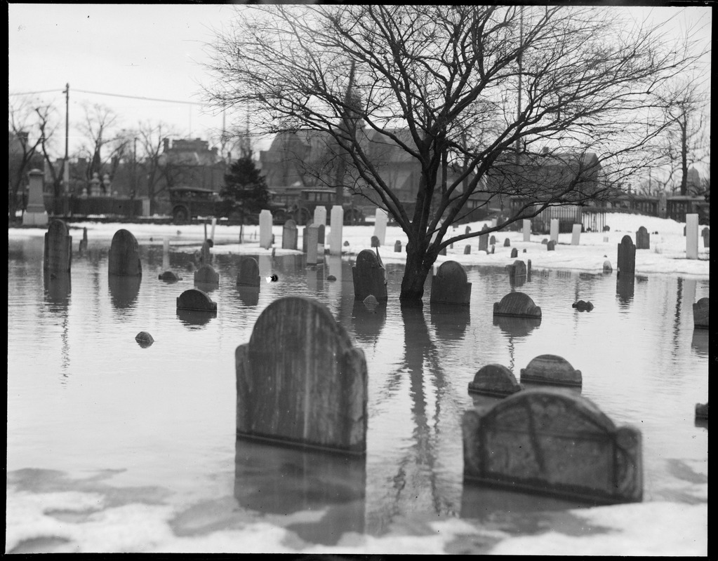 Flooded cemetery in Cambridge