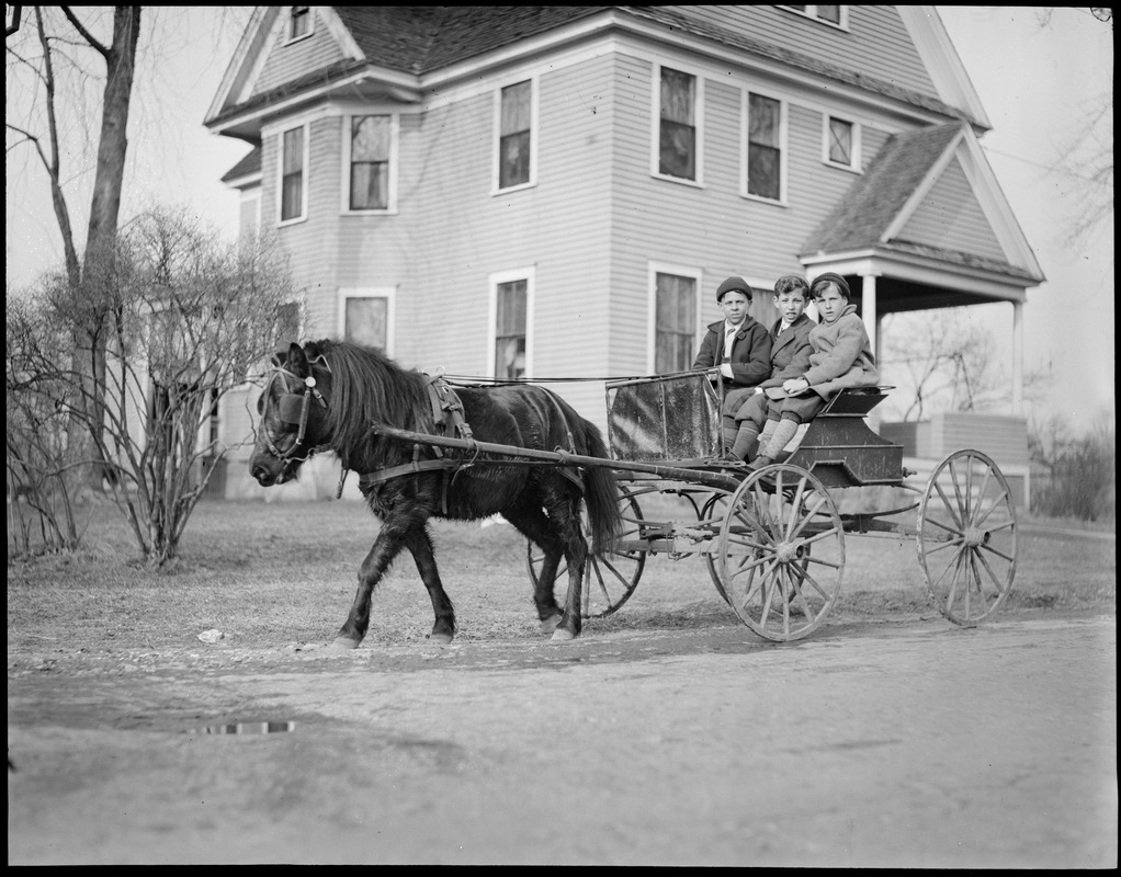 Children in pony cart, New England flood