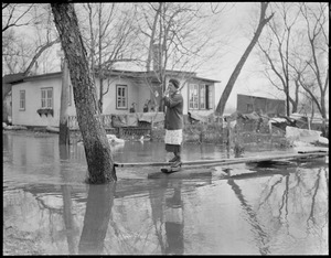 Woman walks on planks, New England flood