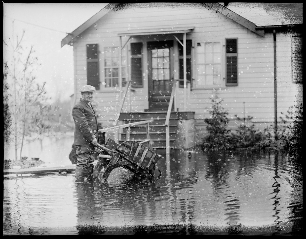 Man with wheelbarrow in flooded yard, New England flood