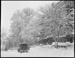 Snow scene, Beacon Hill winter scene
