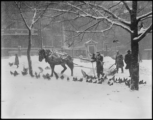 Snow scene - Boston Common