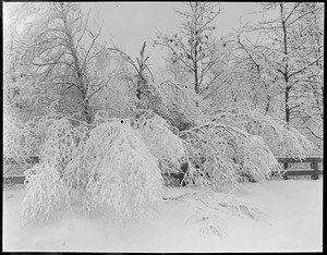 Snow scene Abington, Mass.