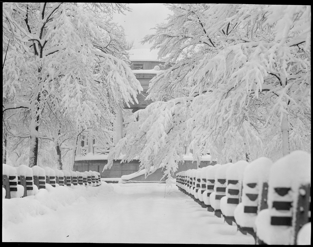Boston Common in winter