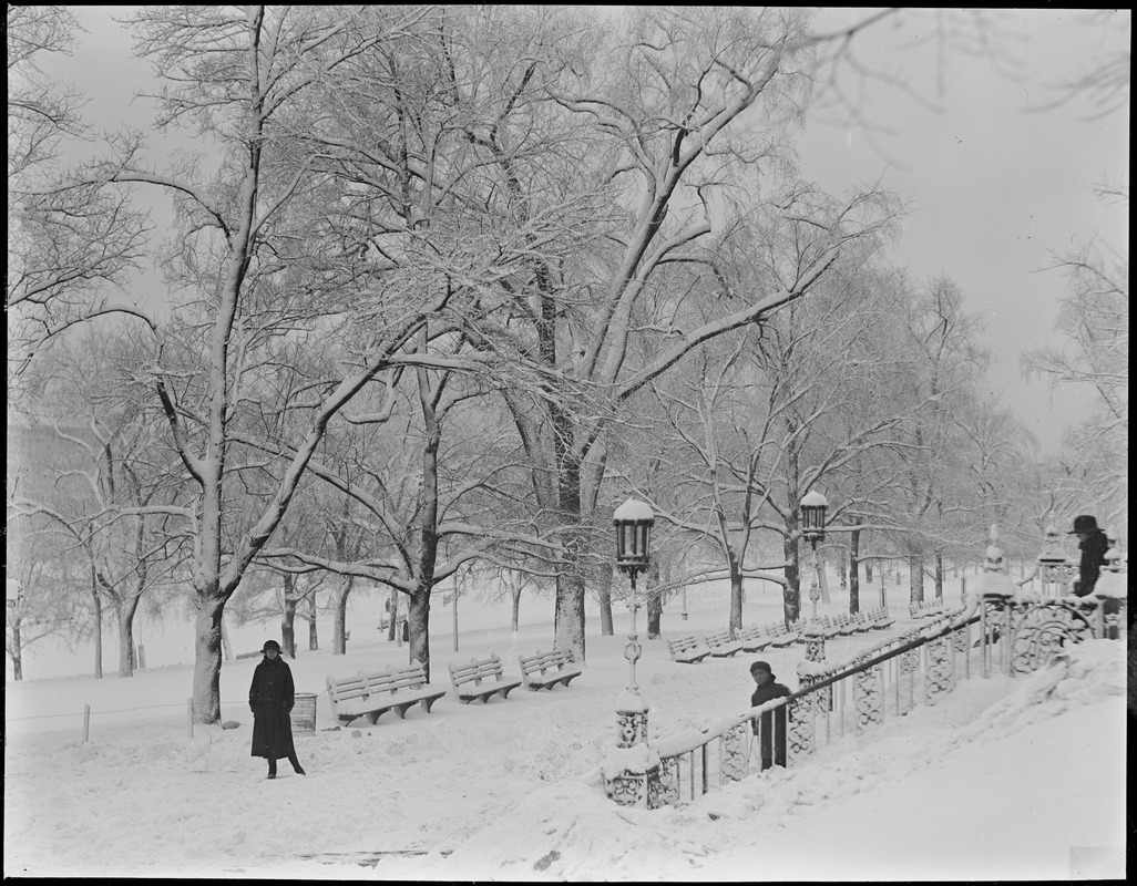 Snow scene Boston Common after a big snowstorm