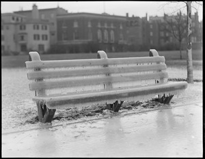 Ice storm, Charles River