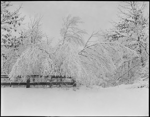 Snow scene, Abington, Mass.