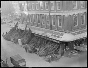 Allen and Co. Fruit and Produce selling Christmas trees, Faneuil Hall