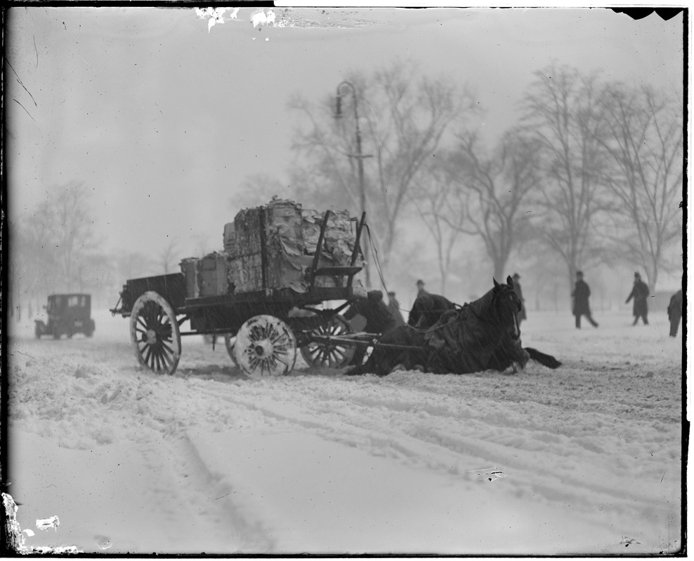 Horse pulling wagon slips in snow next to Common