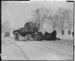 Horse pulling wagon slips in snow next to Common