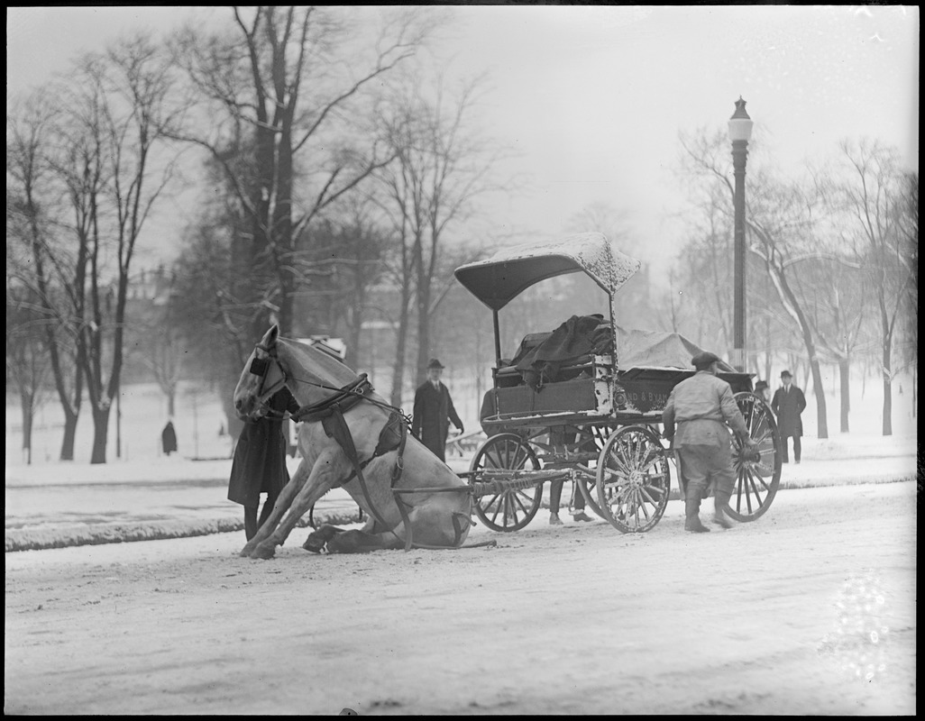 First horse to fall down in first snowstorm, Tremont St.