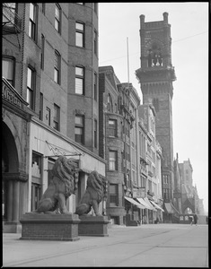 New Old South Tower project, from Kensington Lions