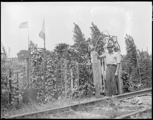 "Gardens" in East Boston along railroad tracks near the airport