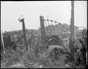 "Gardens" near railroad in East Boston