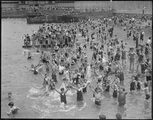 North End park swimmers