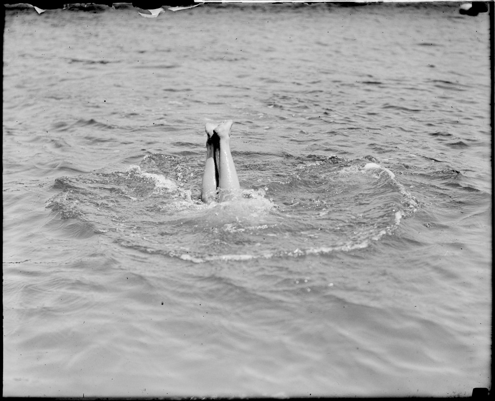 Pretty girl shows her legs as she dives below the water at City Point ...