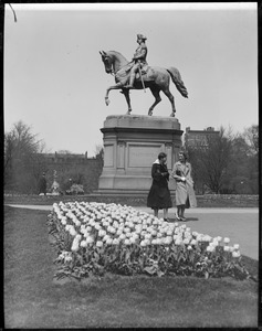 Public Garden tulip time near Washington statue