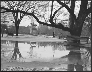 Public Garden thawing