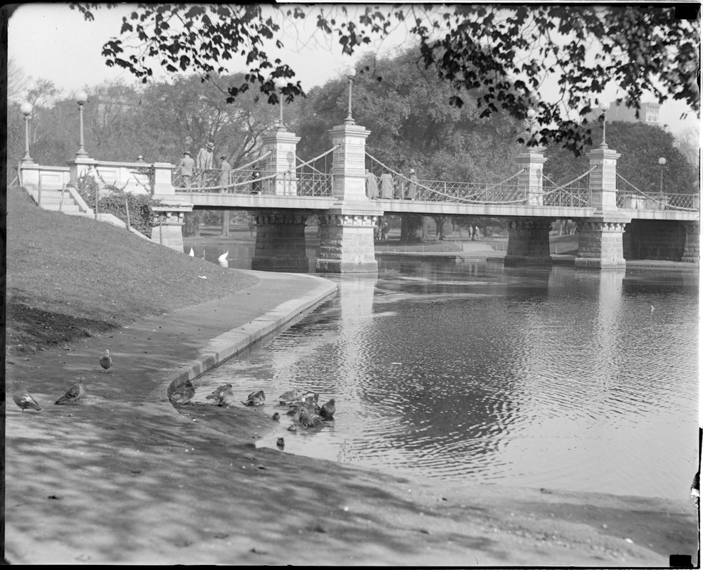 Public Garden bridge Digital Commonwealth