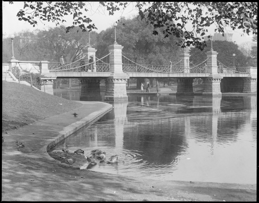 Bridge in Public Garden